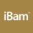 ibamstory